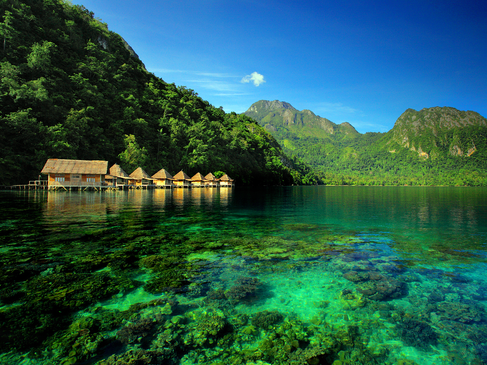 7 Pantai Tercantik Di Maluku Dan Maluku Utara Skyscanner